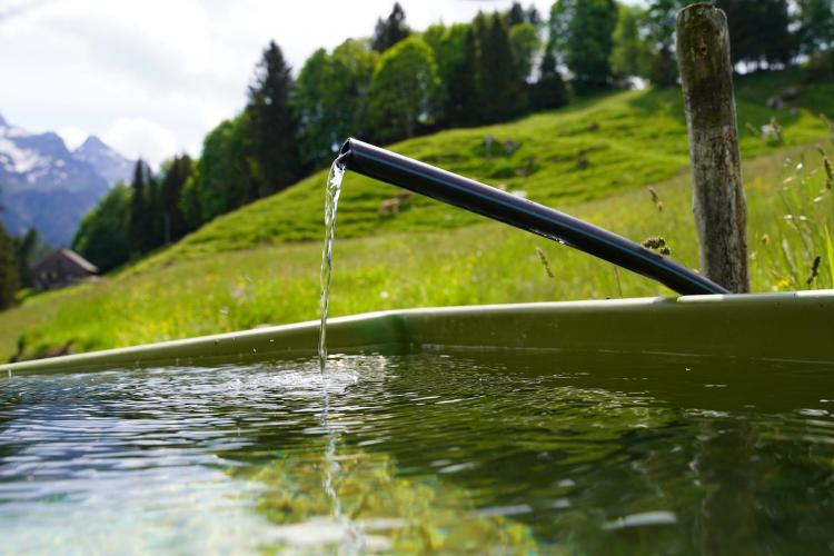 Alin Tișe: S-a eliberat certificatul de urbanism pentru proiectul de alimentare cu apă potabilă a zonei de munte a județului    