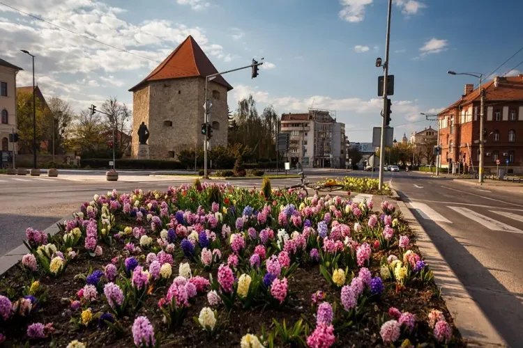 Clujenii se pot bucura în sfârșit de soare. Meteorologii anunță vreme caldă în județul Cluj pentru următoarele două săptămâni