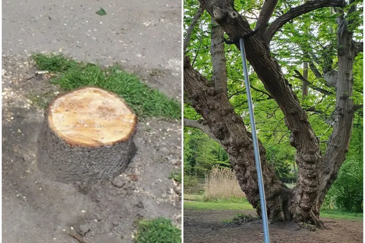 O clujeancă i-a arătat lui Emil Boc care este diferența între Cluj și Munchen - FOTO