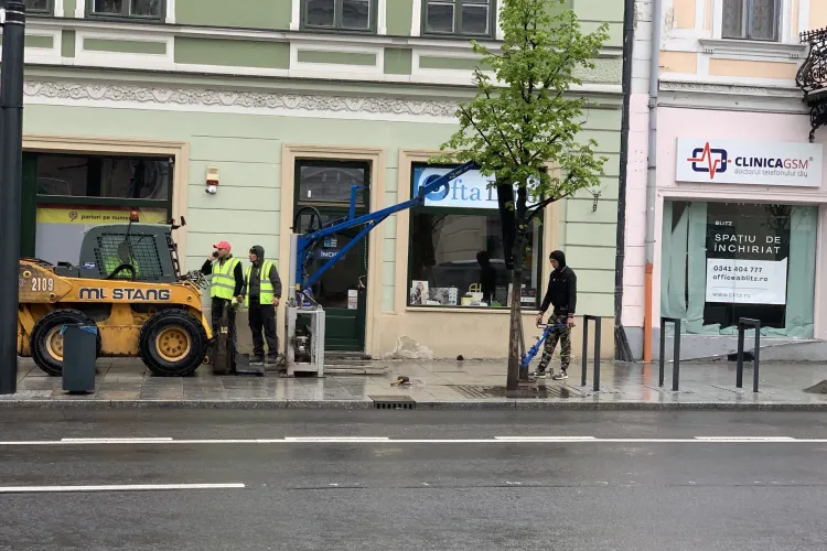 Boc i-a pus pe muncitorii de la Diferit sa refacă trotuarele de pe 21 Decembrie - VIDEO