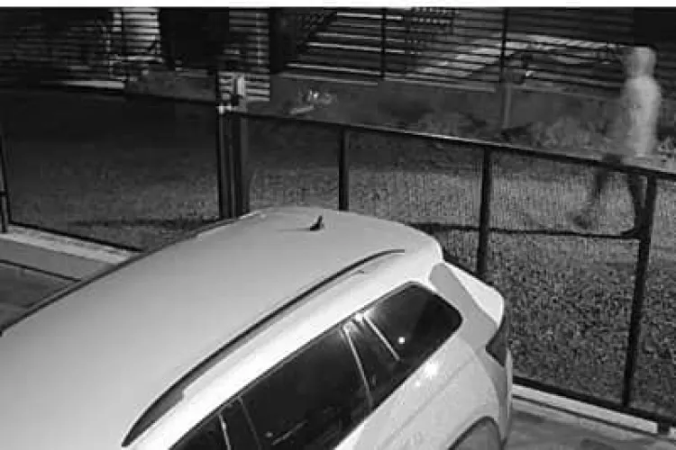 Atenție la UȘI! Hoții au spart o casă din Dezmir, cu proprietarii dormind duși - FOTO