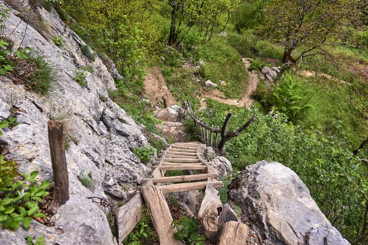 Satul din România la care poți ajunge urcând doar pe o scară de salcâm, are 30 de locuitori 