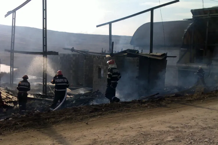 Incendiu pe malul lacului din Campenesti! Trei cabane s-au facut scrum! - VIDEO si Galerie FOTO