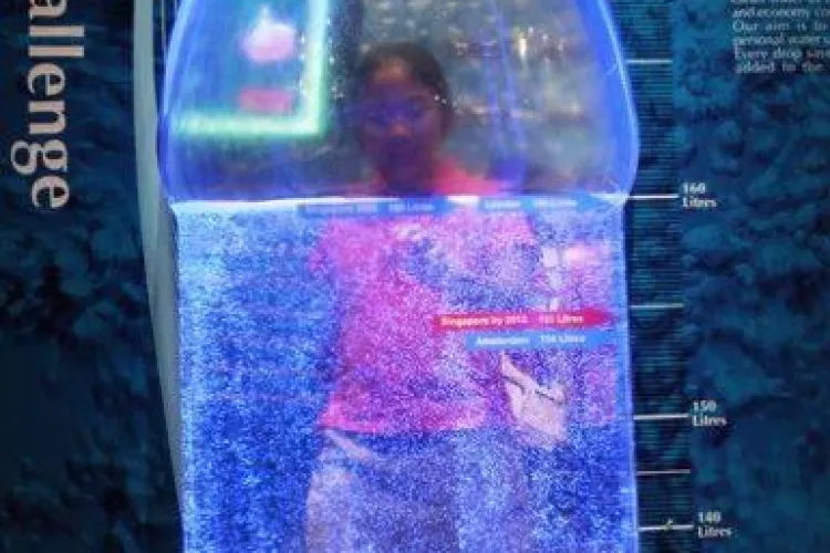 Pepsi a lansat sticla de plastic din plante!