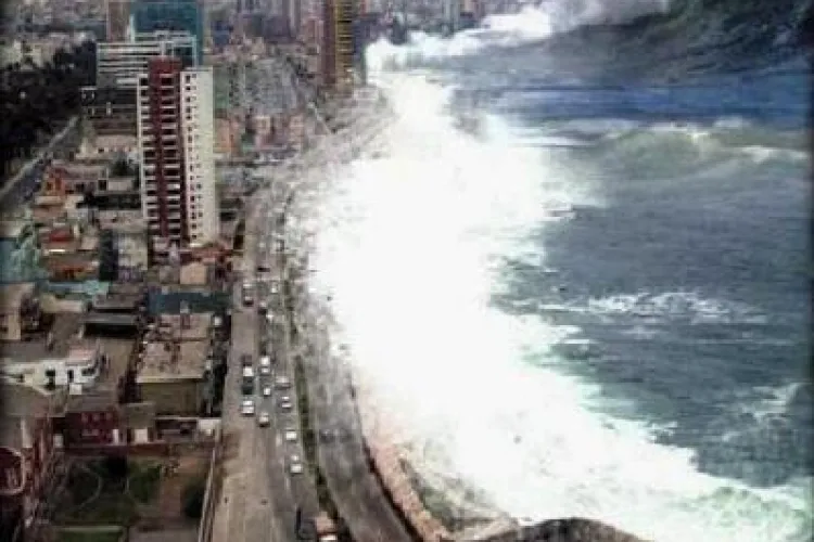 Crucea Rosie Romana face un apel umanitar de urgenta in sprijinul victimelor cutremurului devastator din Japonia