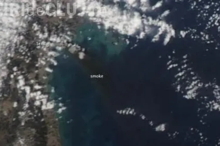 Cutremurul din Japonia a scurtat zilele! VEZI CU CAT