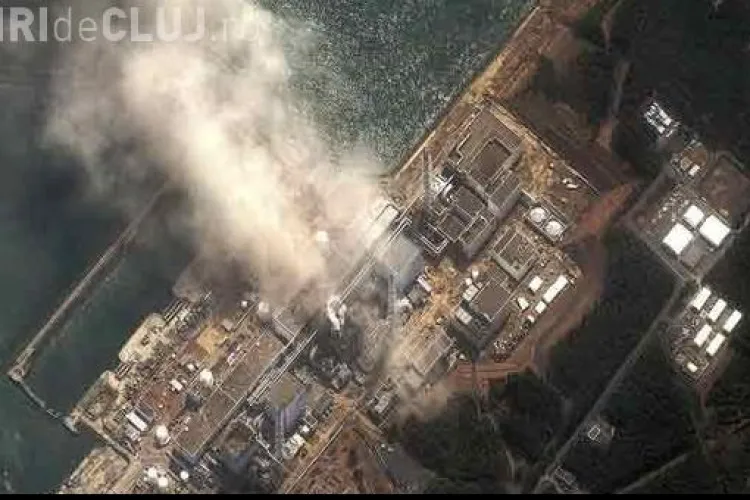 Nivel crescut de radioactivitate depistat in lapte si spanac, in Japonia