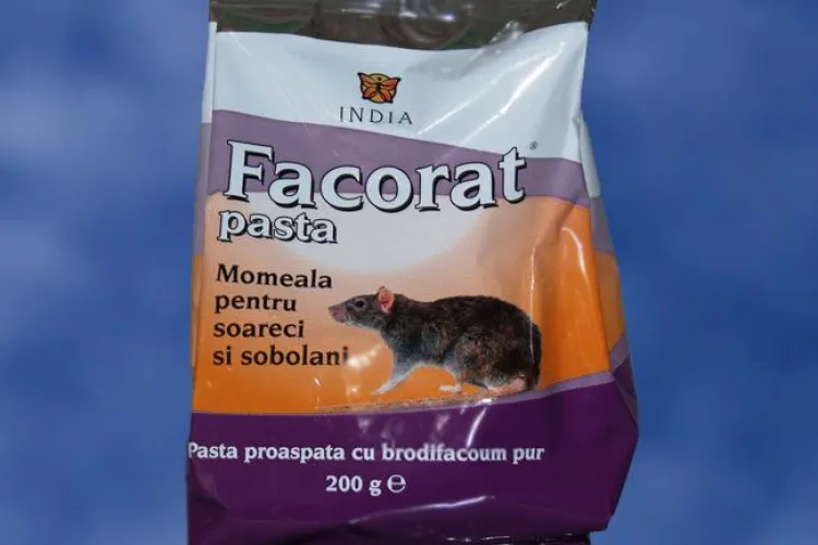 Combaterea sobolanilor in Cluj Napoca, intre 14 - 17 martie 2011