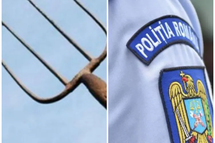 Polițiști nevoiți să fugă ca să scape cu viața, după ce au fost atacați cu satârul și o furcă de bărbatul la care veniseră cu o citație