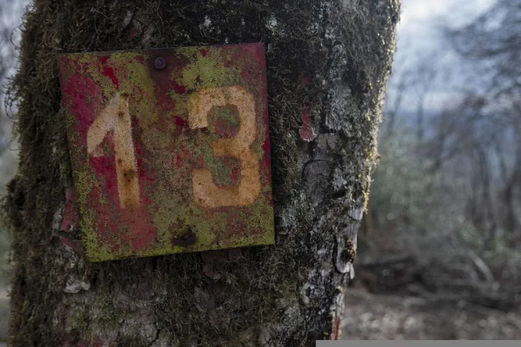 VINERI 13: Este sau nu o zi cu ghinion? Origini, superstiții, studii și adevăruri