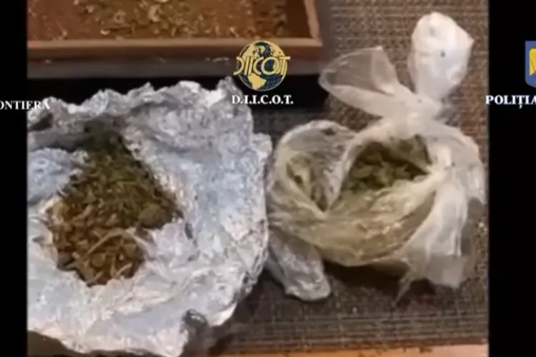 VIDEO -  Percheziții de amploare în Cluj și în alte patru județe. Grupare acuzată de trafic de migranți și  trafic droguri