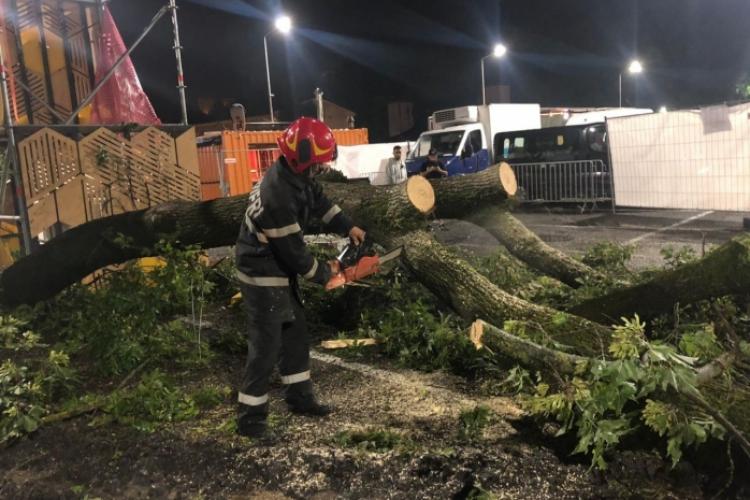 Furtuna de azi noapte a doborât un copac peste o mașină în Cluj-Napoca. A fost cod portocaliu de vreme severă