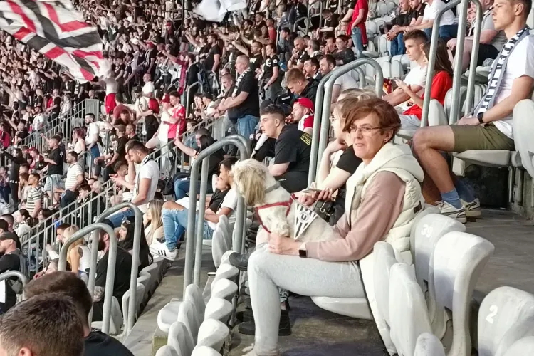 ”Suporter” patruped la meciul U Cluj - Dinamo - Fotografia zilei