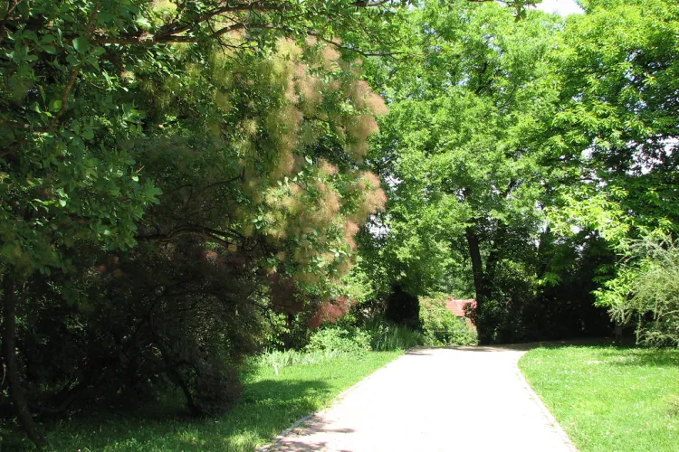 CLUJ - Vezi cum va fi vremea astăzi, 16 mai. Clujul se va bucura de o zi însorită 