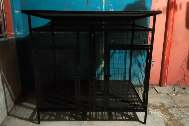 Caz șocant! Un bărbat a ascuns cadavrul copilului său în cușca unui câine, pentru a încasa mai departe alocația