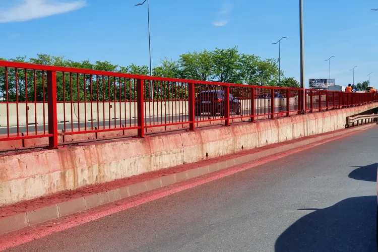 Dacă nu în România, atunci unde! ”Dorel” a vopsit balustrada podului, dar și mașinile parcate - FOTO   