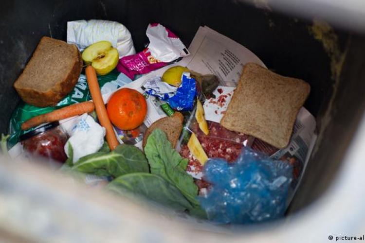 În România, cinci milioane de tone de alimente ajung la gunoi. Tot atâtea milioane de români trăiesc în sărăcie și nu au ce mânca