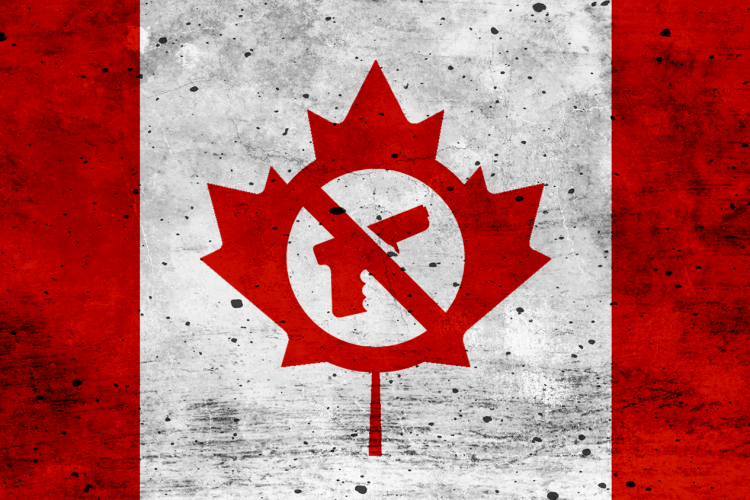 Canada introduce legi aspre împotriva armelor de foc. Jucăriile asemănătoare cu armele sunt excluse de la vânzare