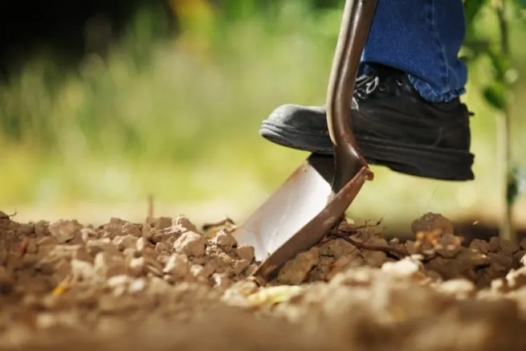 Asiaticul văzut în Cluj cu o pisică moartă agățată de rucsac, spune că a vrut doar să o îngroape, după ce a ar fi găsit-o pe stradă fără suflare