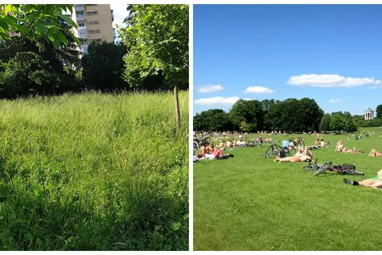 Cluj-Napoca: Așa arată parcul de pe strada Slănic: ”Iarba de 1,5 metri! Aproape ca în Germania (Munchen)”   