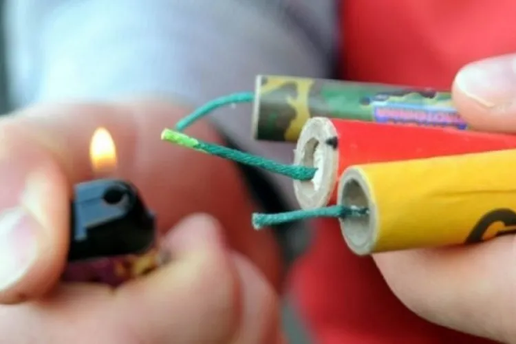 CLUJ - Deputat clujean: Trebuie să renunțăm la petarde. Activiștii și asociații de protecția animalelor, prezenți la dezbatere