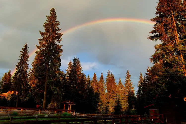 Curcubeu senzațional la Mărișel, după o ploaie superbă de Iunie - FOTO