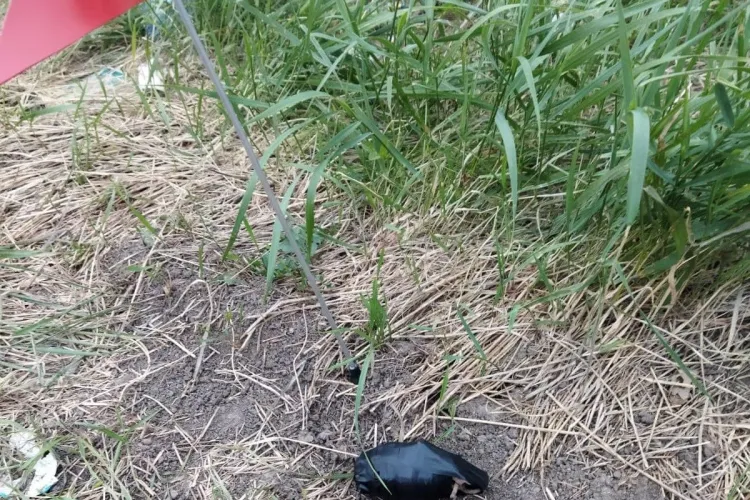 A văzut o grenadă într-un șanț, a luat-o și a dus-o la bar să le-o arate și „tovarășilor”. „A pus viața celor prezenți în pericol” 