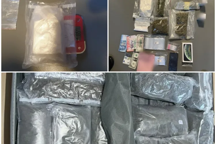 FOTO. Captură importantă de droguri la Cluj. Canabis și cocaină, introduse în România prin intermediul unei firme de coletărie 