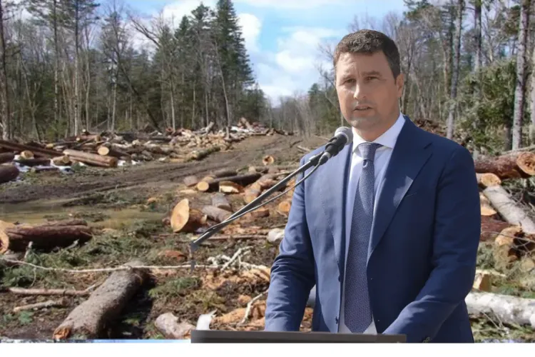 Pare credibil? Ministrul Mediului, Tanczos Barna: ”România are cele mai sănătoase păduri din Europa”      