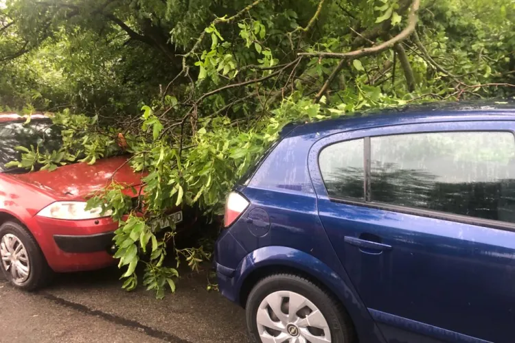 Prăpăd în Zorilor, după ”taifunul” de joi după-amiaza - FOTO