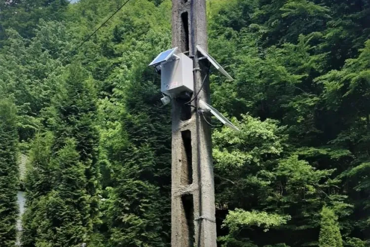 Romsilva se laudă că a montat 177 de camere de monitorizare pentru prevenirea tăierilor ilegale 