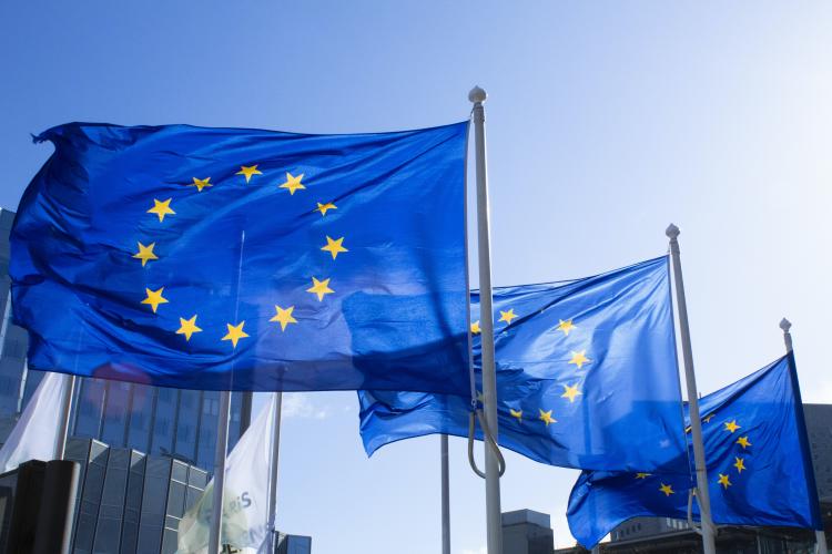 Parlamentul European solicită liderilor UE să acorde doar Ucrainei și Moldovei statutul de țară candidată la aderare, nu și Georgiei deocamdată 