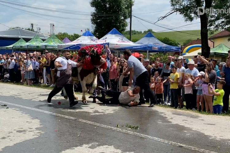 Un bou a atacat un bărbat la un festival din Cluj - VIDEO      