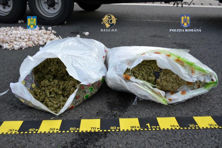 Captură mare de droguri, după ce vameșii din vestul României au găsit 12 kilograme de cannabis - VIDEO și FOTO   