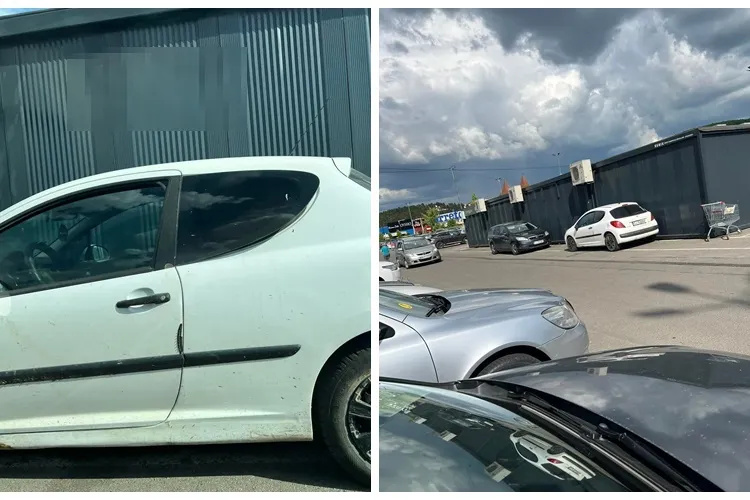 Cluj: Câini leșinați într-o mașină lăsată la soare în parcarea VIVO! - FOTO