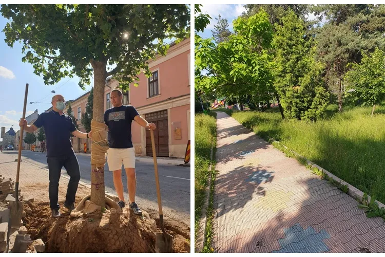 Clujul are parcurile cu iarba netunsă, pentru că firma Eco Garden Construct dă salarii proaste și au plecat jumătate din angajați   