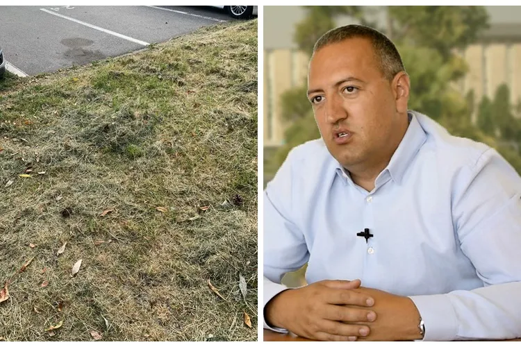 La Cluj-Napoca e ca în Barcelona? Iarba cosită cu întârziere de ECO Garden nu mai e adunata de nimeni - VIDEO