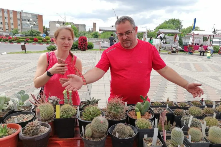Colecționarul de „țepi”: Bărbatul care a colecționat în 20 de ani peste 4.000 de cactuși din 1.800 de specii diferite
