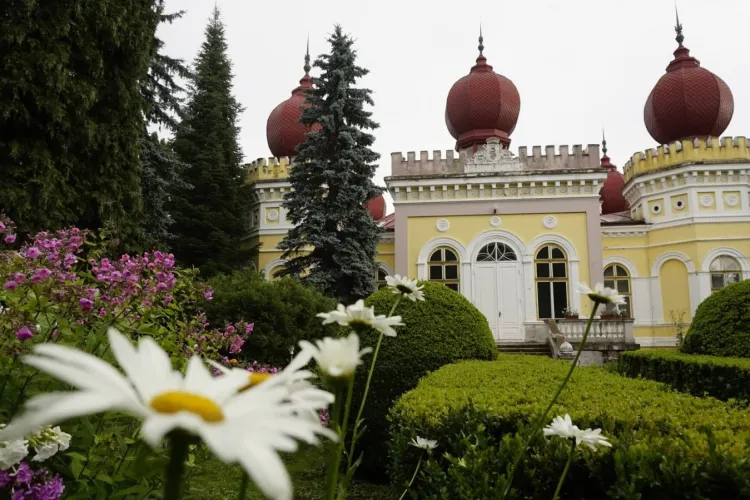 Castelul Arcalia din Bistrița-Năsăud, deținut de UBB, a intrat în ruta castelelor turistice ale României