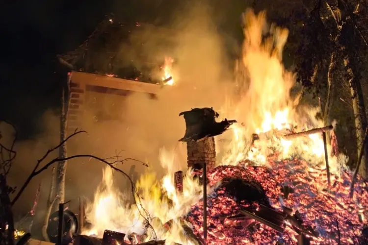 Incendiu violent în Ocoliș. Flăcările au mistuit o bucătărie de vară și o anexă