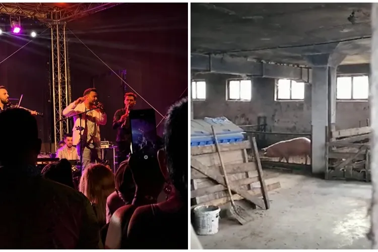 Imagini VIDEO necosmetizate de la festivalul de manele cu Jador și Guță de la Cluj: ”Miroase a fermă de porci” - VIDEO