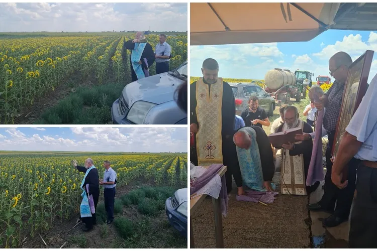 ”Dumnezeu face să plouă și peste cei drepți și peste cei nedrepți”. Preotul s-a rugat pentru ploaie și a binecuvântat culturile - FOTO   