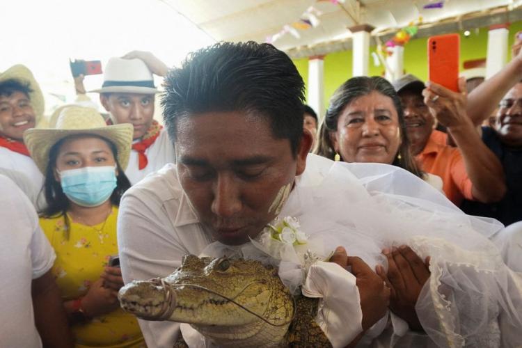 VIDEO. Un primar s-a însurat cu un crocodil pentru binele orașului. Ritualul nupțial a inclus și un sărut