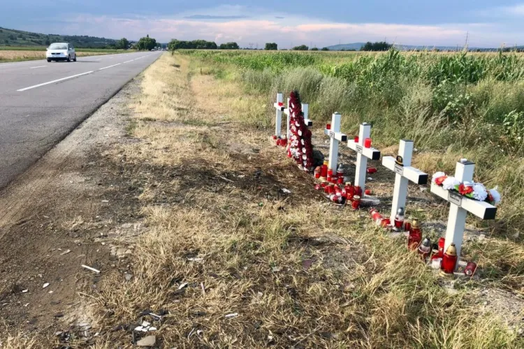 „În România viaţa omului e mai puţin importantă decât viaţa unui urs”. Cum reuşesc şoferii care ucid la volan să scape de închisoare