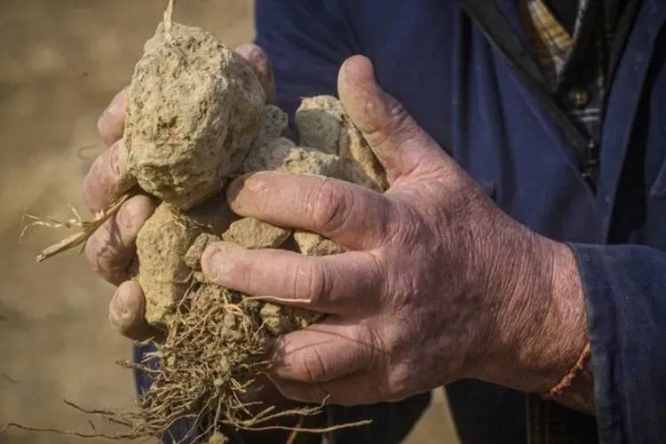 Avertismentul meteorologilor: Încălzirea globală va aduce secetă și veri din ce în ce mai uscate