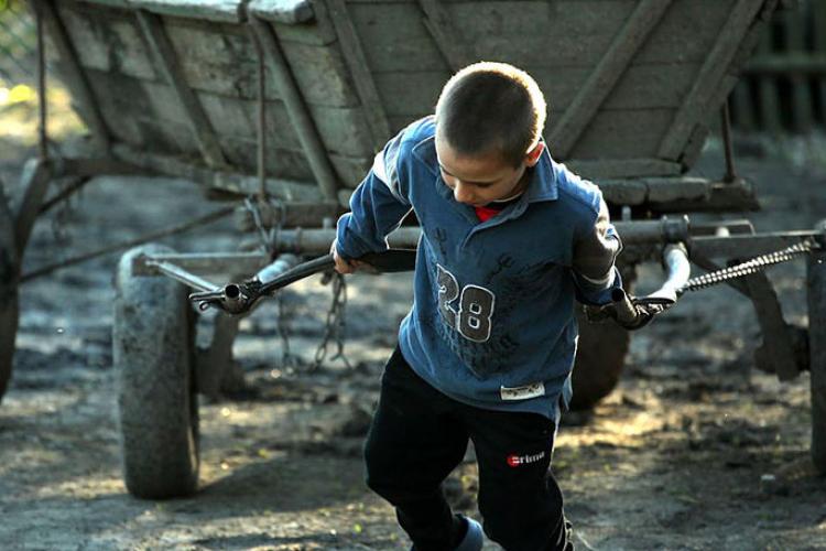 Trei copii, obligaţi ani la rând să muncească până la epuizare la o fermă de măgari