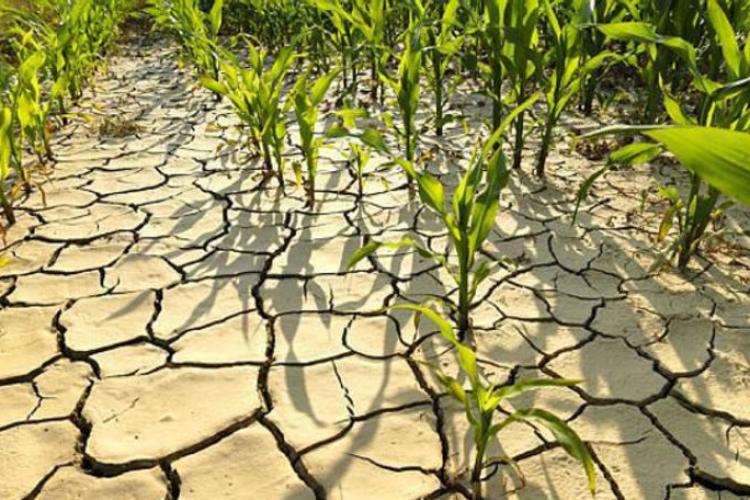 Seceta din anul 2022, diferită față de cele din anii trecuți: „Ultimii 20 de ani au fost o continuă perioadă de secetă, întreruptă de ani mai normali