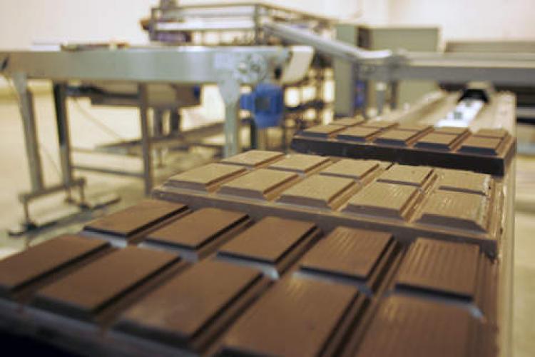 Focar de Salmonella, descoperit la una dintre cele mai mari fabrici de ciocolată din lume. Producția s-a oprit total  