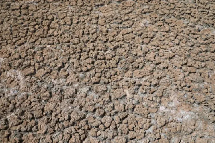 Un lac uriaș a secat în nordul țării din cauza caniculei - VIDEO   