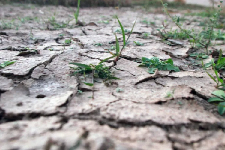 Seceta face ravagii în județ! Apa potabilă, raționalizată în mai multe localități din Cluj